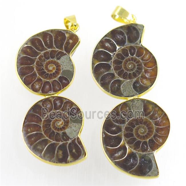 double Ammonite Fossil pendant, gold plated
