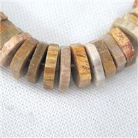 yellow Coral Fossil beads, faceted heishi, approx 20mm dia